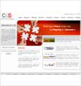 Webmerits