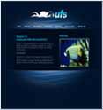 Webmerits