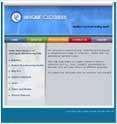 Webmerits